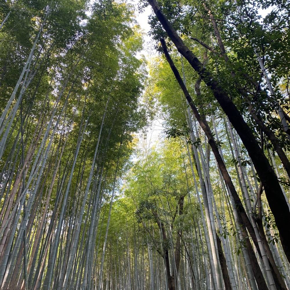 Meet your Posher, Luxlife